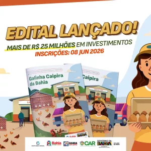 Governo da Bahia lança edital de R$ 25,6 milhões para produção de ovos caipiras