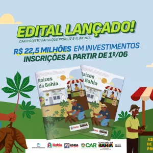 Governo da Bahia lança edital para fortalecer a mandiocultura com investimento de R$ 22,55 milhões