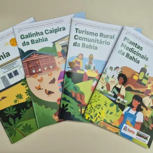 Editais do Governo da Bahia irão destinar R$ 64,1 milhões para fortalecer sistemas produtivos da agricultura familiar