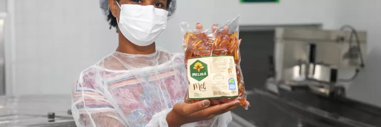 Mel produzido pela agricultura familiar fortalece a alimentação escolar no Semiárido Baiano