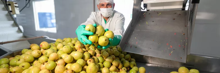 Unidade de Beneficiamento de Frutas fortalece a agricultura familiar em Inhambupe