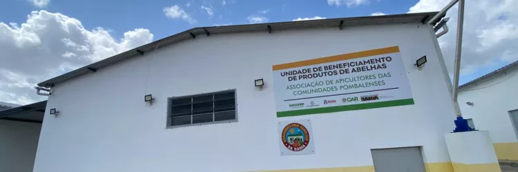 Agroindústria fortalece apicultura e amplia renda de agricultores familiares no Semiárido baiano 