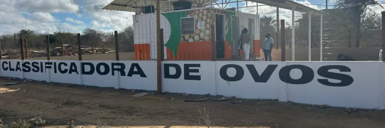 Agricultura familiar da Bahia ganha primeira unidade de classificação de ovos em container