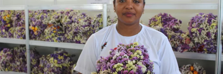 Flores e Artesanatos