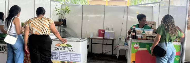 16º Festival do Umbu