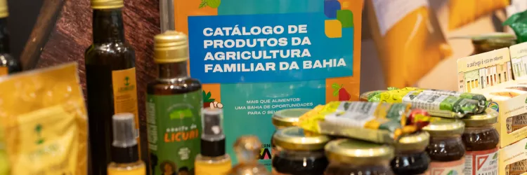 Jornada Institucional da CAR debate estratégias  para fortalecer a agricultura familiar na Bahia