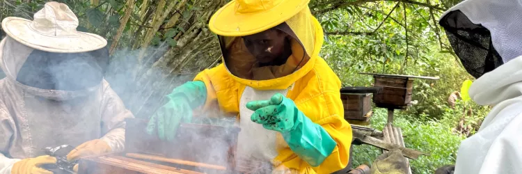 Governo da Bahia fortalece a apicultura no Recôncavo com entrega de 220 kits