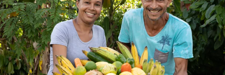 Investimentos na reforma agrária e fortalece assentamentos