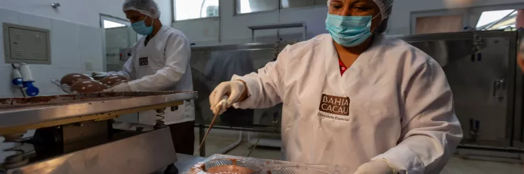 Bahia Cacau: pioneira no chocolate da agricultura familiar