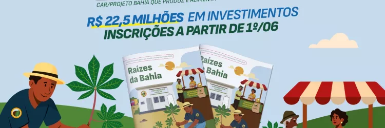 Governo da Bahia lança edital para fortalecer a mandiocultura com investimento de R$ 22,55 milhões