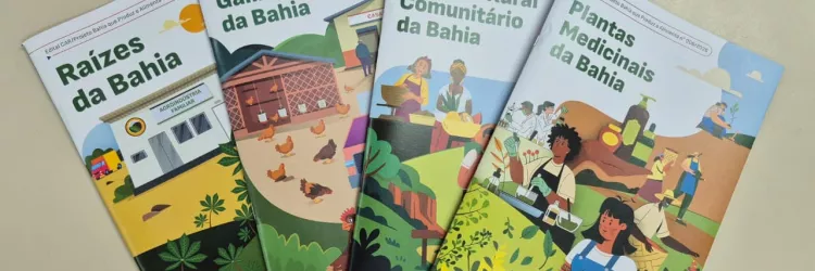 Editais do Governo da Bahia irão destinar R$ 64,1 milhões para fortalecer sistemas produtivos da agricultura familiar