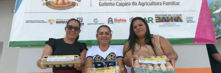 Bahia fortalece produção de ovos na agricultura familiar