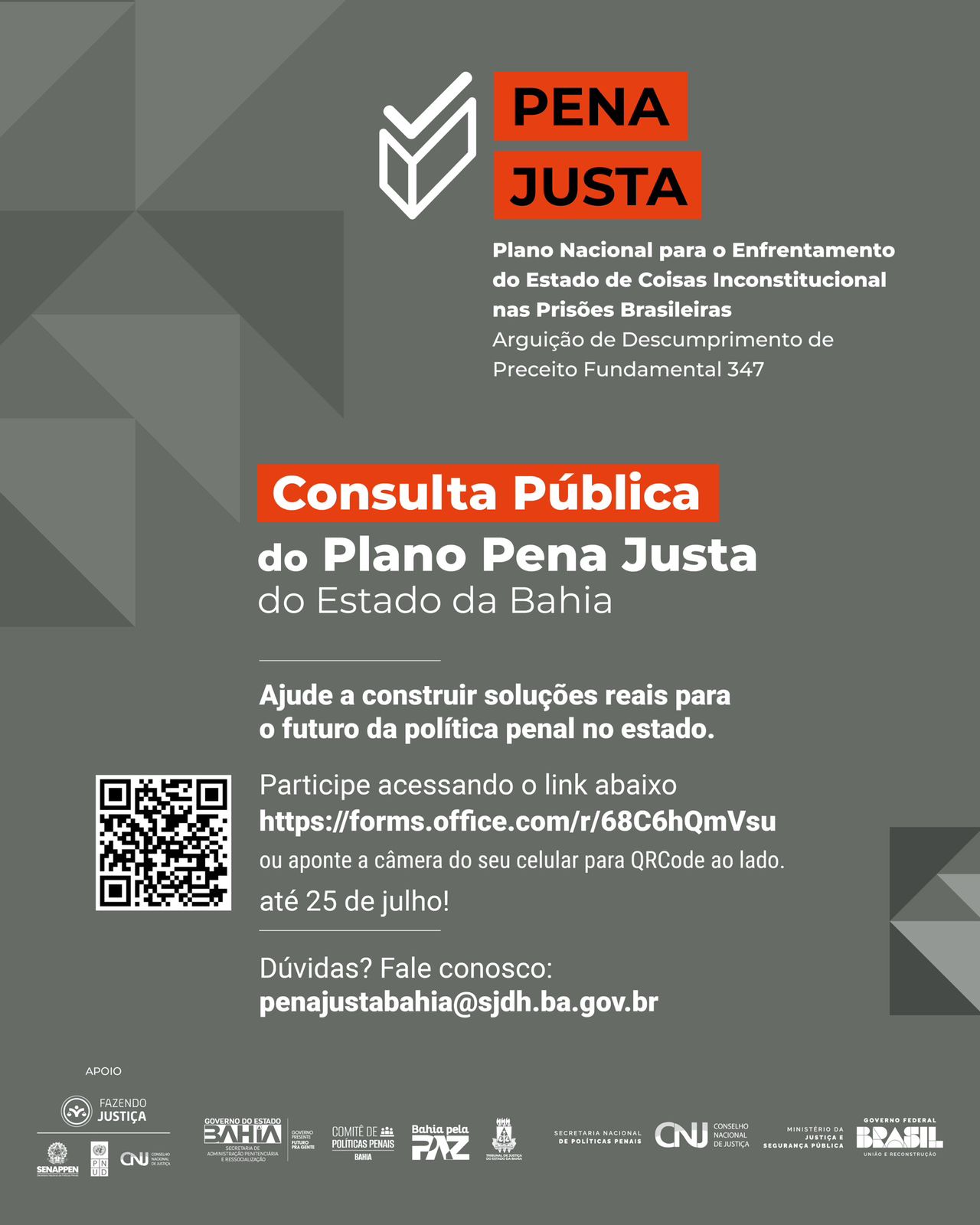 Cartaz da Consulta 