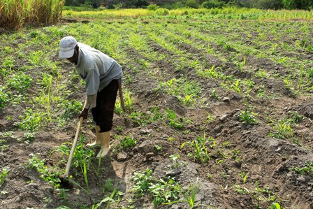 HaroldoAbrantes 01 Ascom Secom