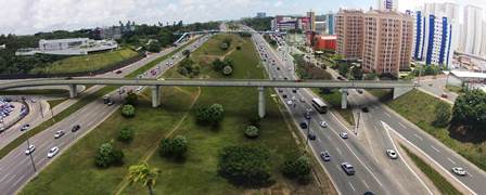 Imagem Ilustracao_NARANDIBA_06.03