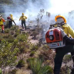 Foto: Divulgação/Sema