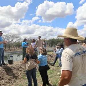 Capacitação no semiárido