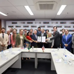 Organizações do Bahia pela Paz