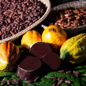 Do cacau ao chocolate