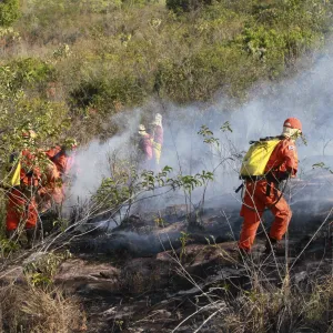 Bombeiros