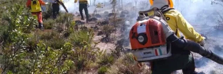 Foto: Divulgação/Sema