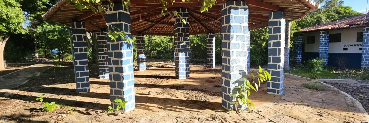 Imagem atual do Tareco