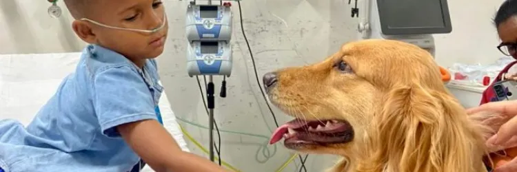 Criança brinca com o cachorro