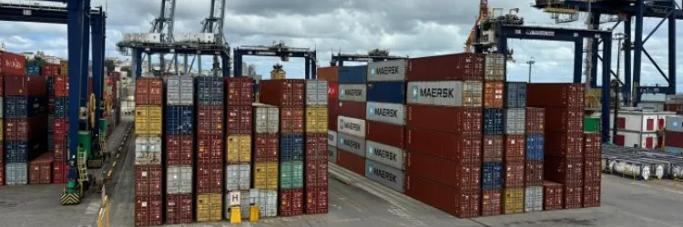 Produtos para exportação