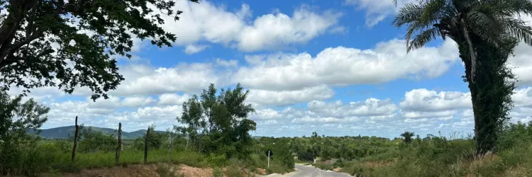 Estrada