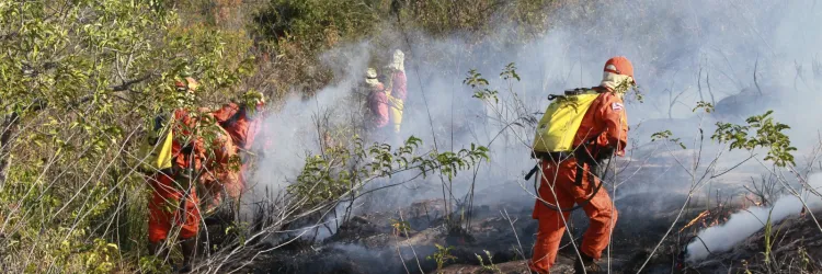 Bombeiros