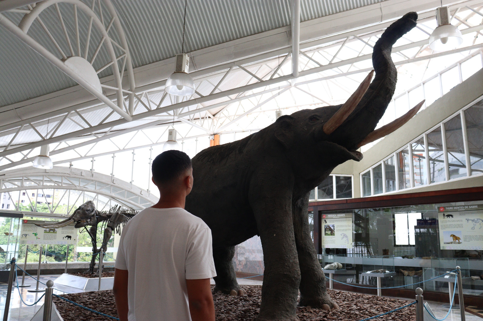 Foto: Rafaela Sena/Ascom SDE