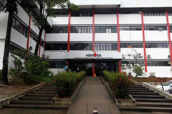 Hemoba recebe 190 mil doadores de sangue em 2024