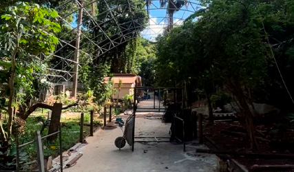 Zoológico de Salvador acelera reformas e se prepara para reabertura em maio