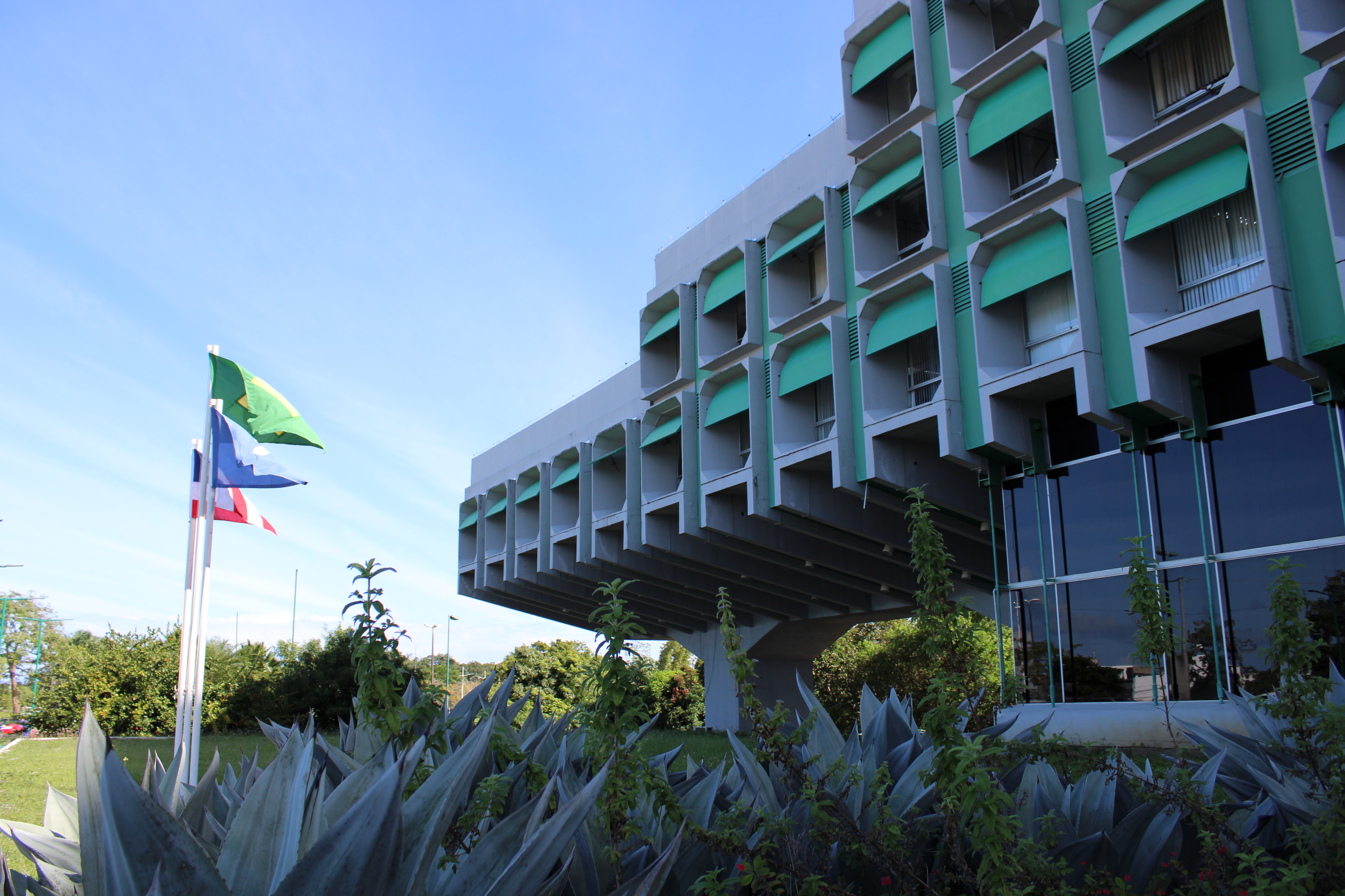 Secti abre inscrições para edital voltado a estudantes de jornalismo