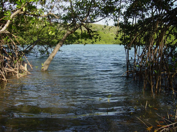 Univerciência estreia nova temporada neste sábado