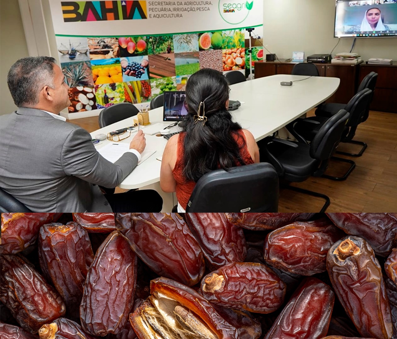 Bahia avança em parceria com Emirados Árabes para produção de tâmaras no semiárido