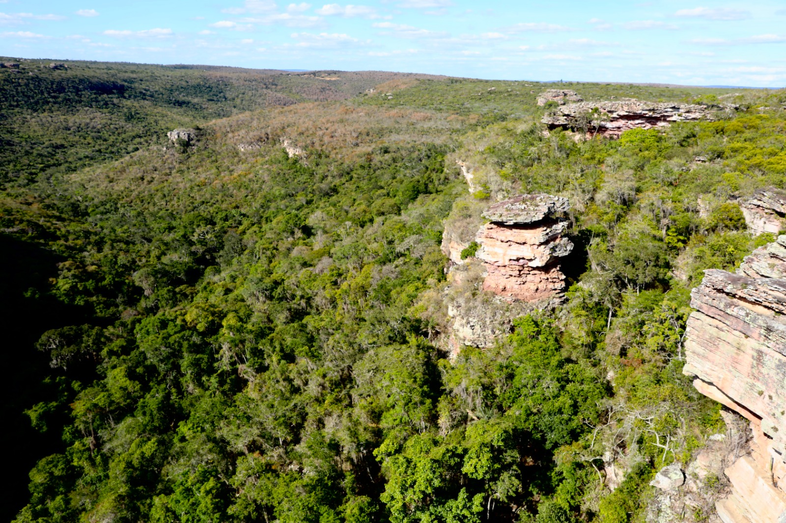 Sema detalha avanços da Reserva da Biosfera da Chapada Diamantina em reunião conjunta do Cepram e Conerh