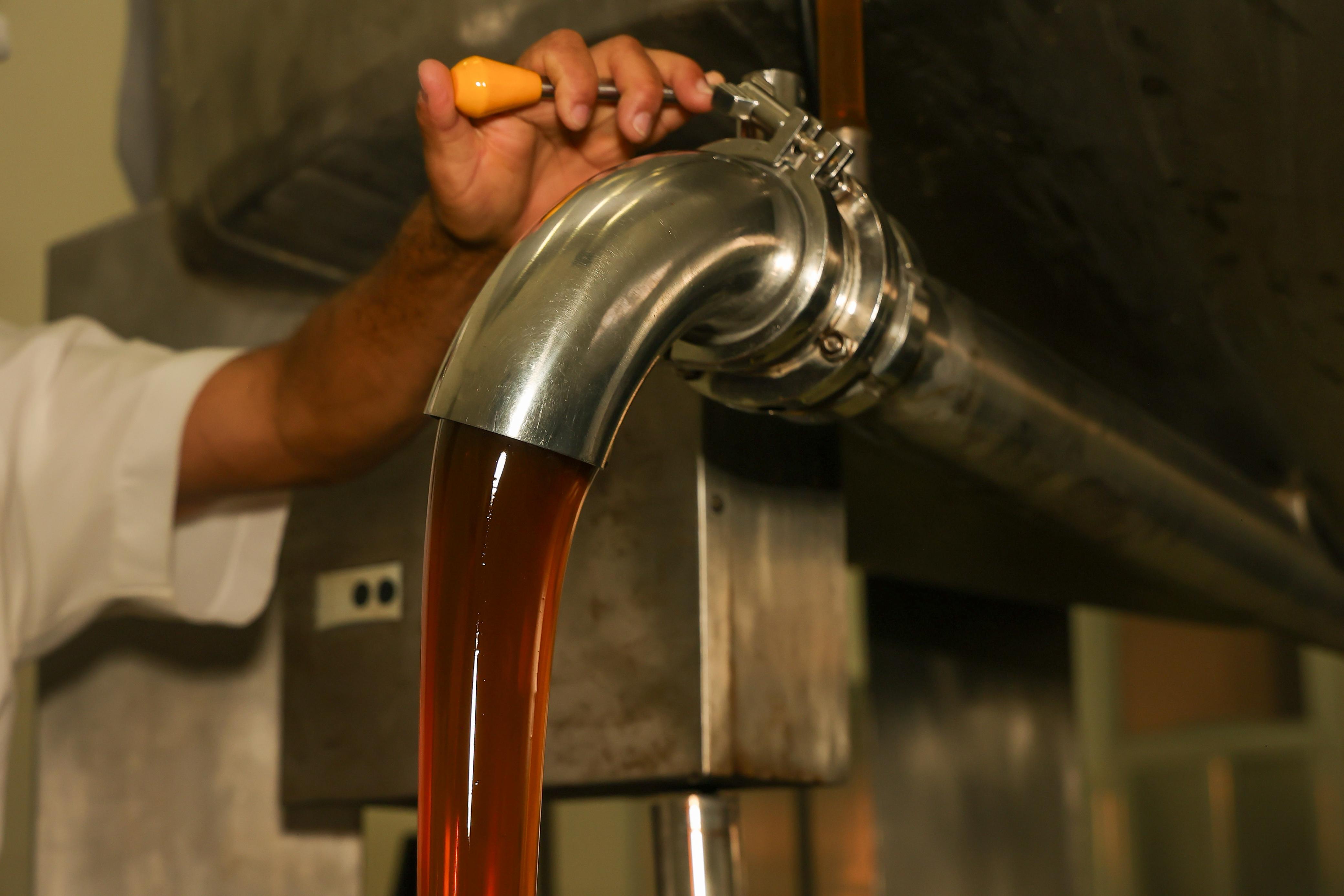 Unidade de beneficiamento de produtos de abelhas eleva produção de méis do Semiárido Baiano