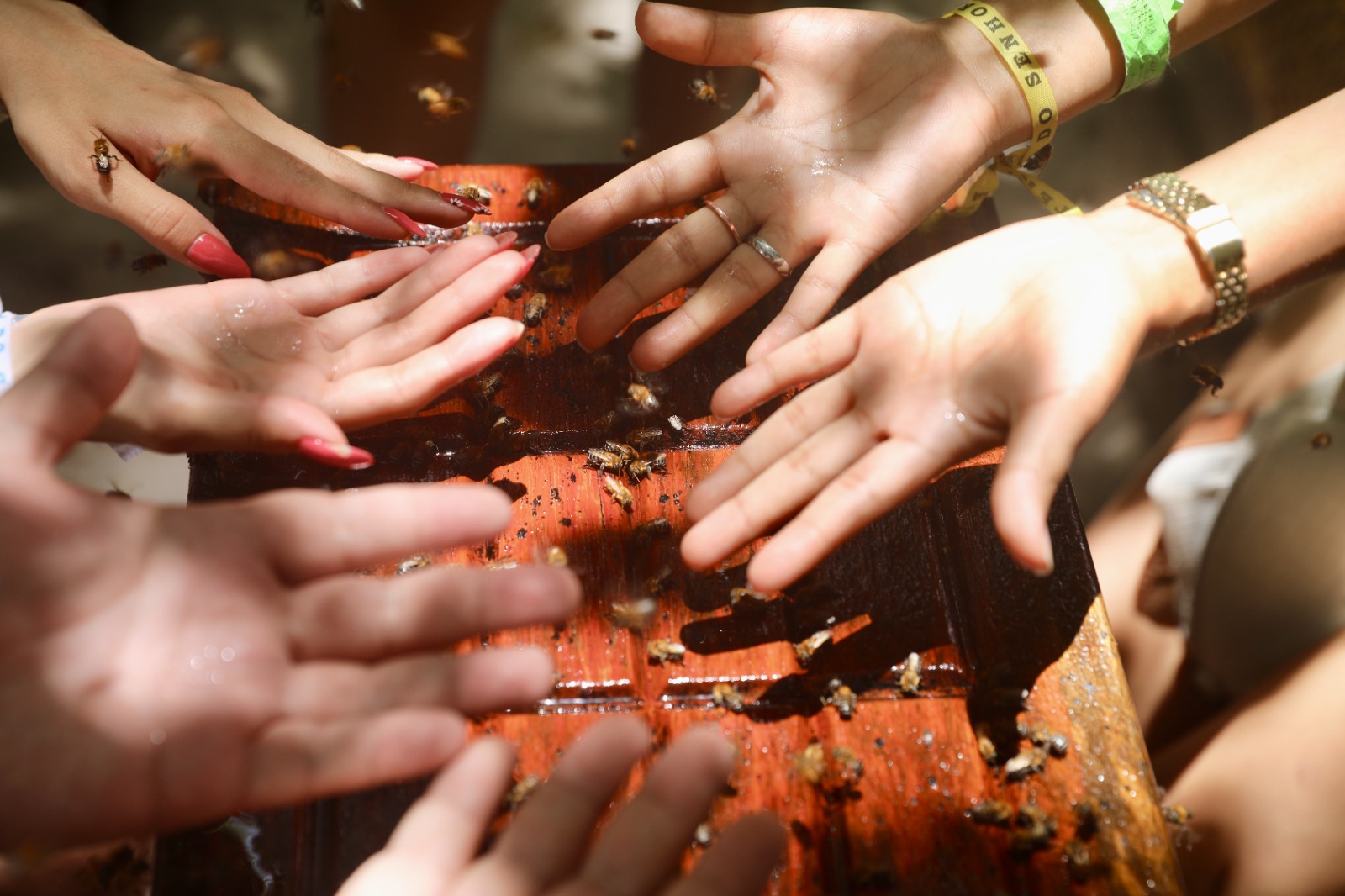 Inscrições abertas para o 4º Encontro Franco-Brasileiro de Turismo Sustentável em Salvador