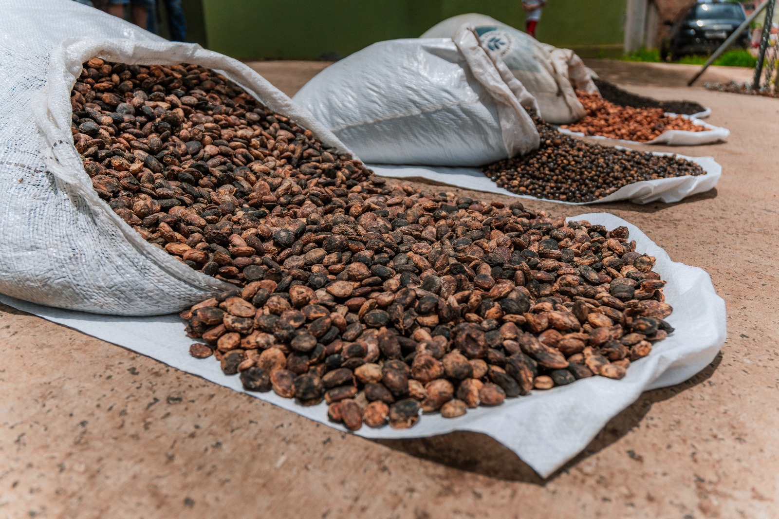 Investimentos estaduais elevam a renda e fortalecem a agricultura familiar no Baixo Sul