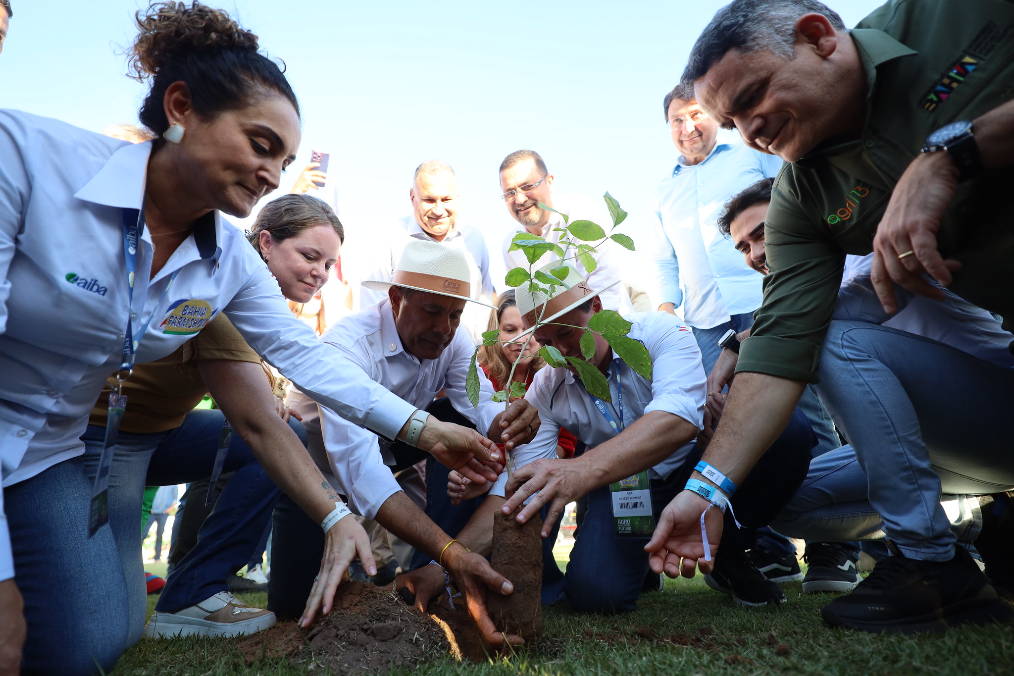  Seagri e ABAF assinam convênio de arborização urbana com espécies nativas em 12 municípios