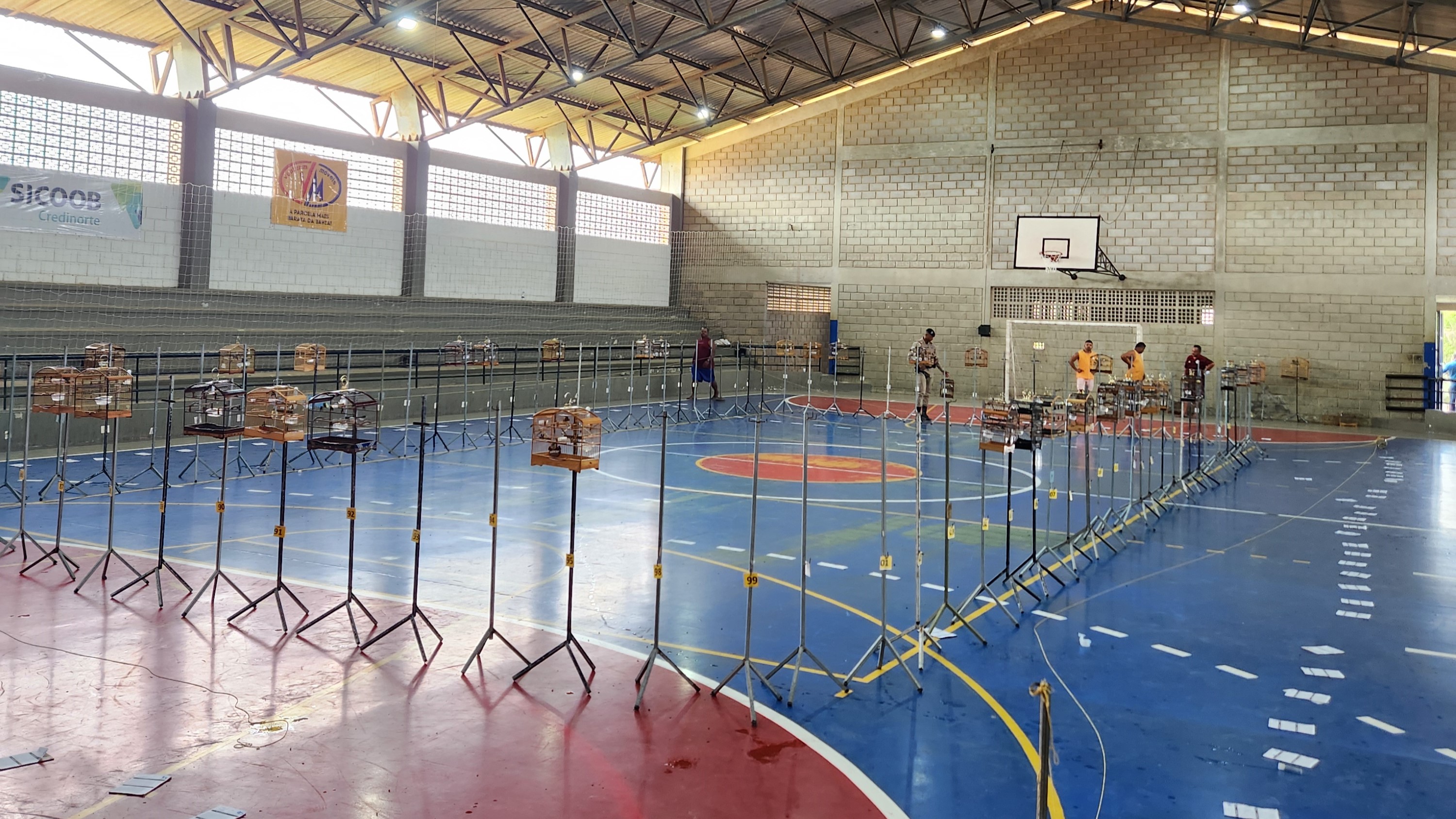 Inema e PM interrompem evento ilegal de canto de pássaros e resgatam mais de 100 aves silvestres no Extremo Sul