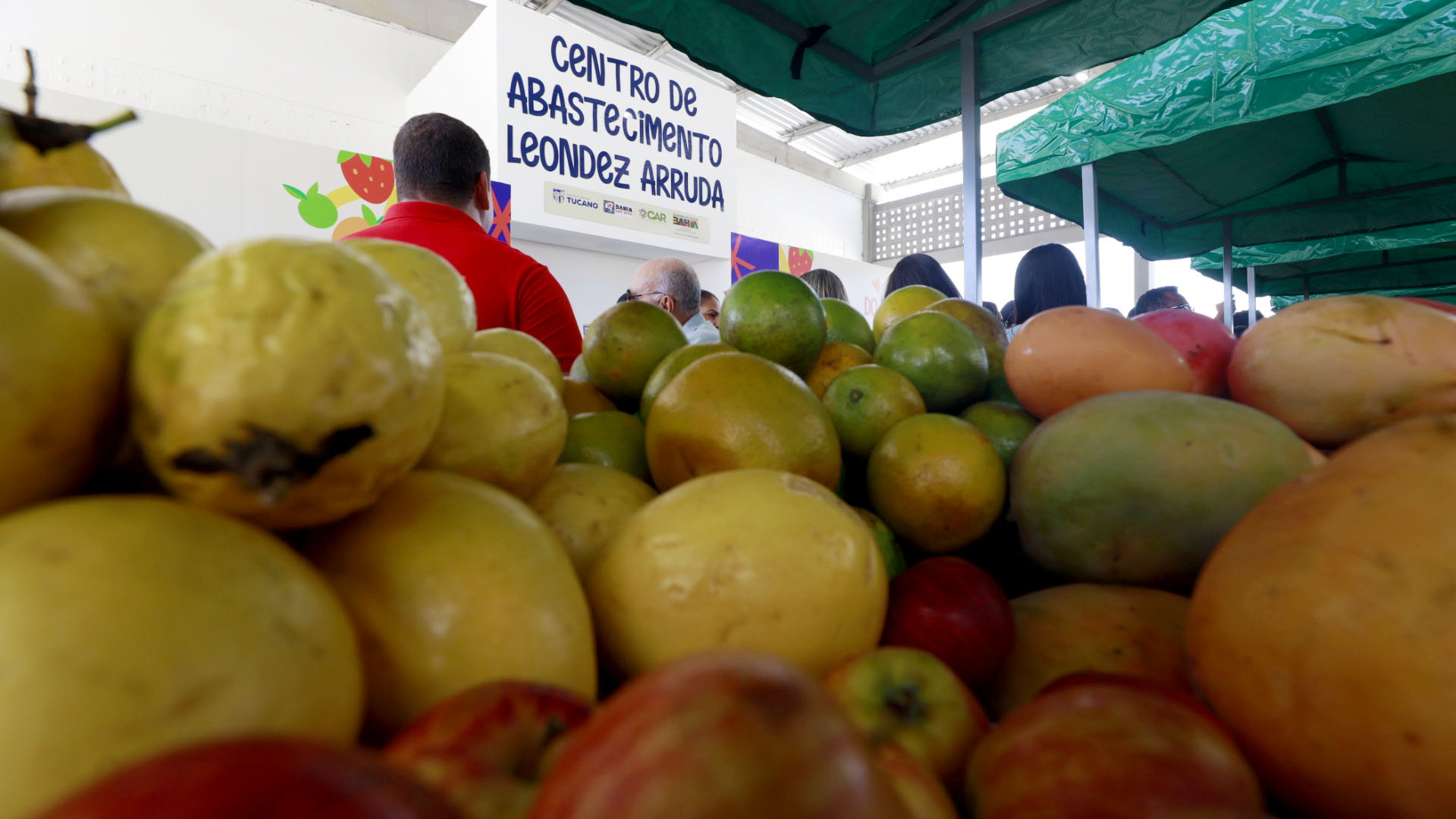 Agroindústrias familiares irão dinamizar a produção de frutas e licuri de agricultores familiares de Tucano