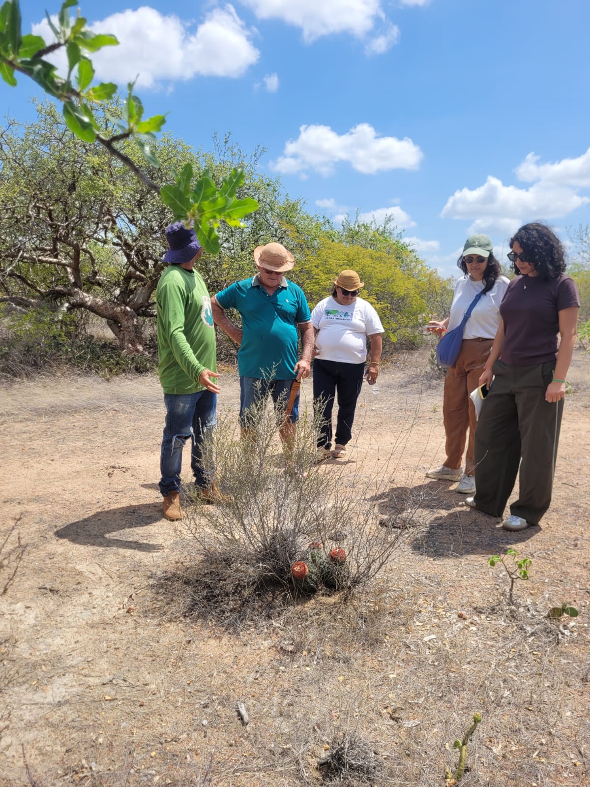 Oficiais do FIDA visitam experiências desenvolvidas pela CAR no Semiárido baiano