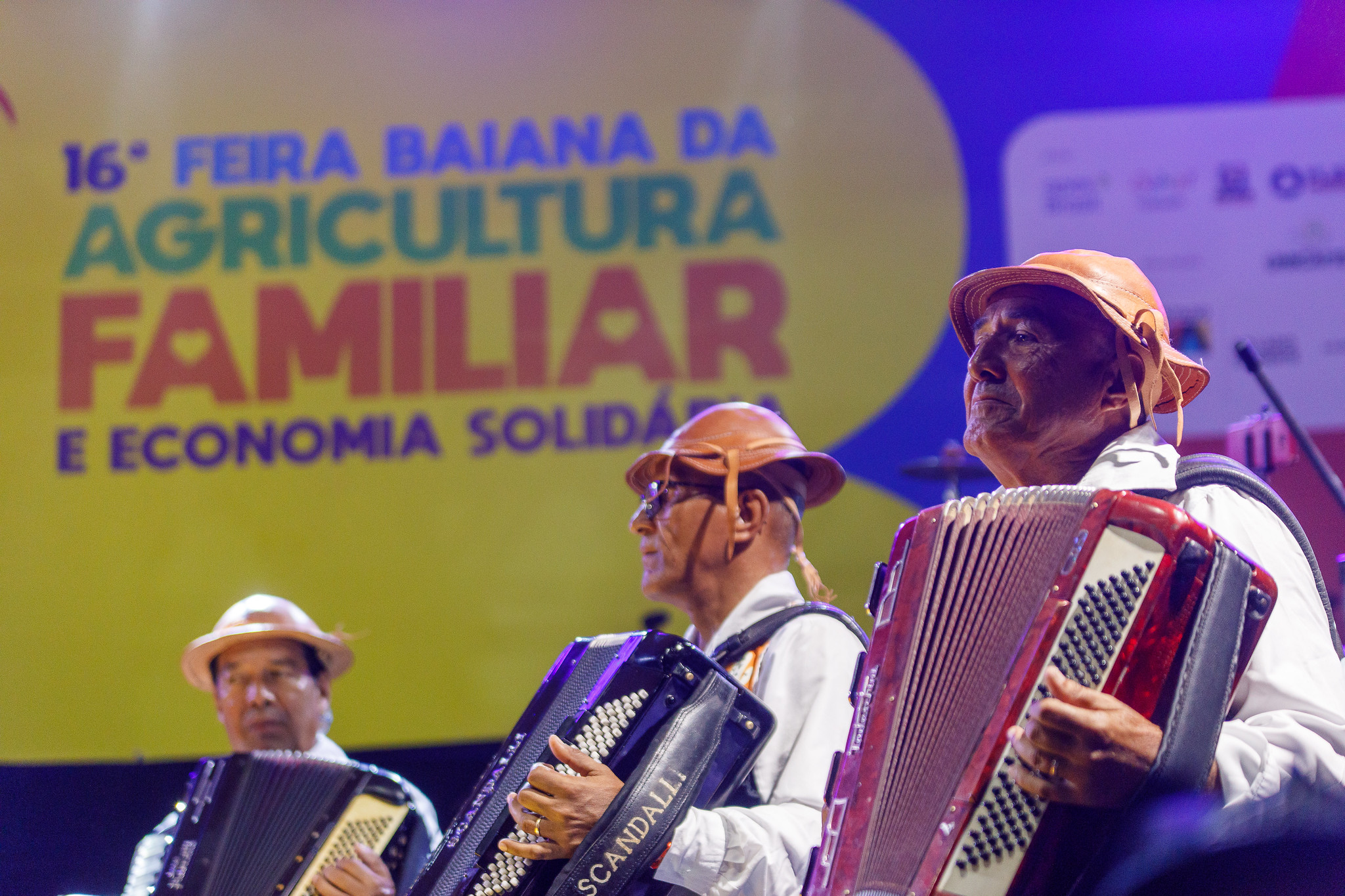Orquestra Sanfônica