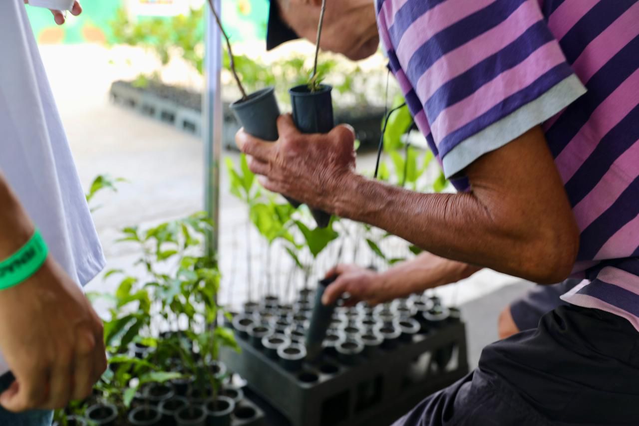 Sugestão de pauta: Distribuição de mudas e experiência imersiva atrai público e marca presença da Sema e do Inema na Fenagro