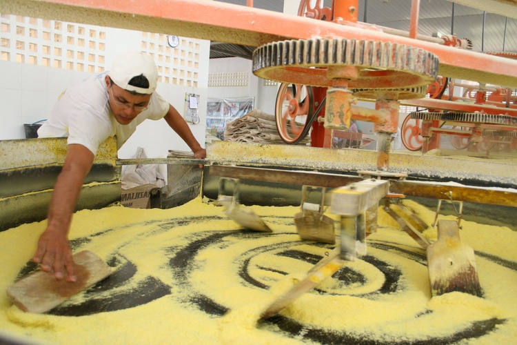 Seagri realiza seminário para fortalecer cadeia produtiva da mandioca na Bahia