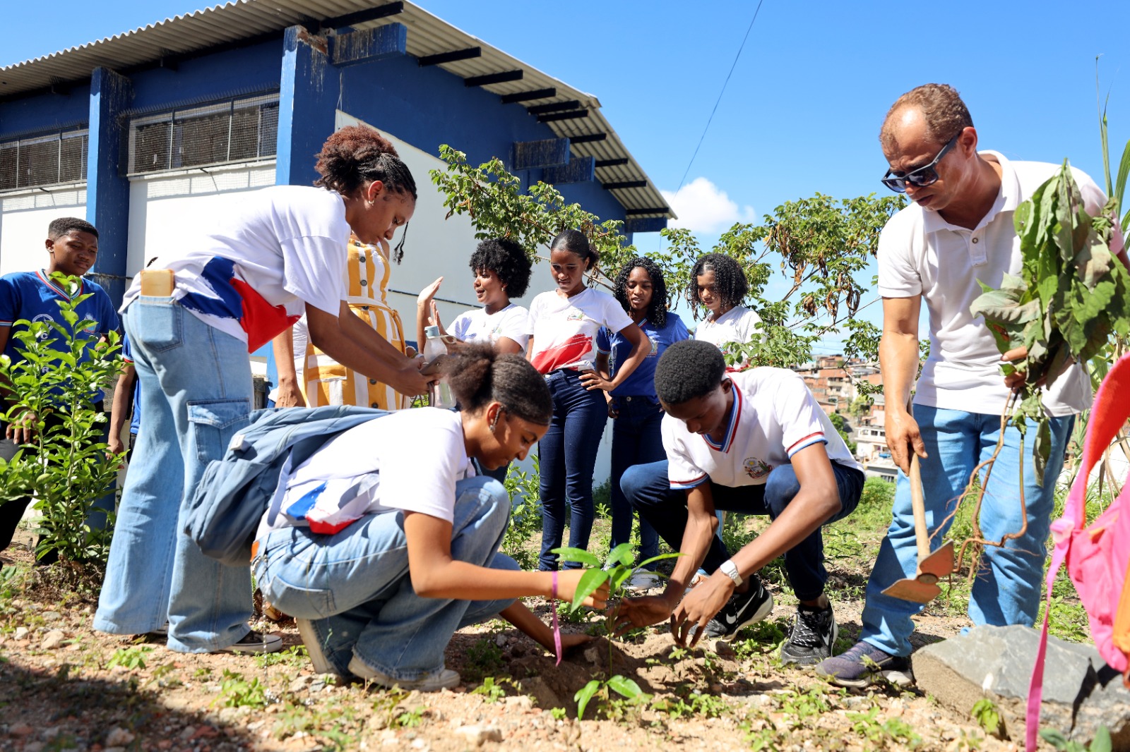 Estudantes de colégio de tempo integral transformam escola em espaço de educação ambiental e agroflorestamento