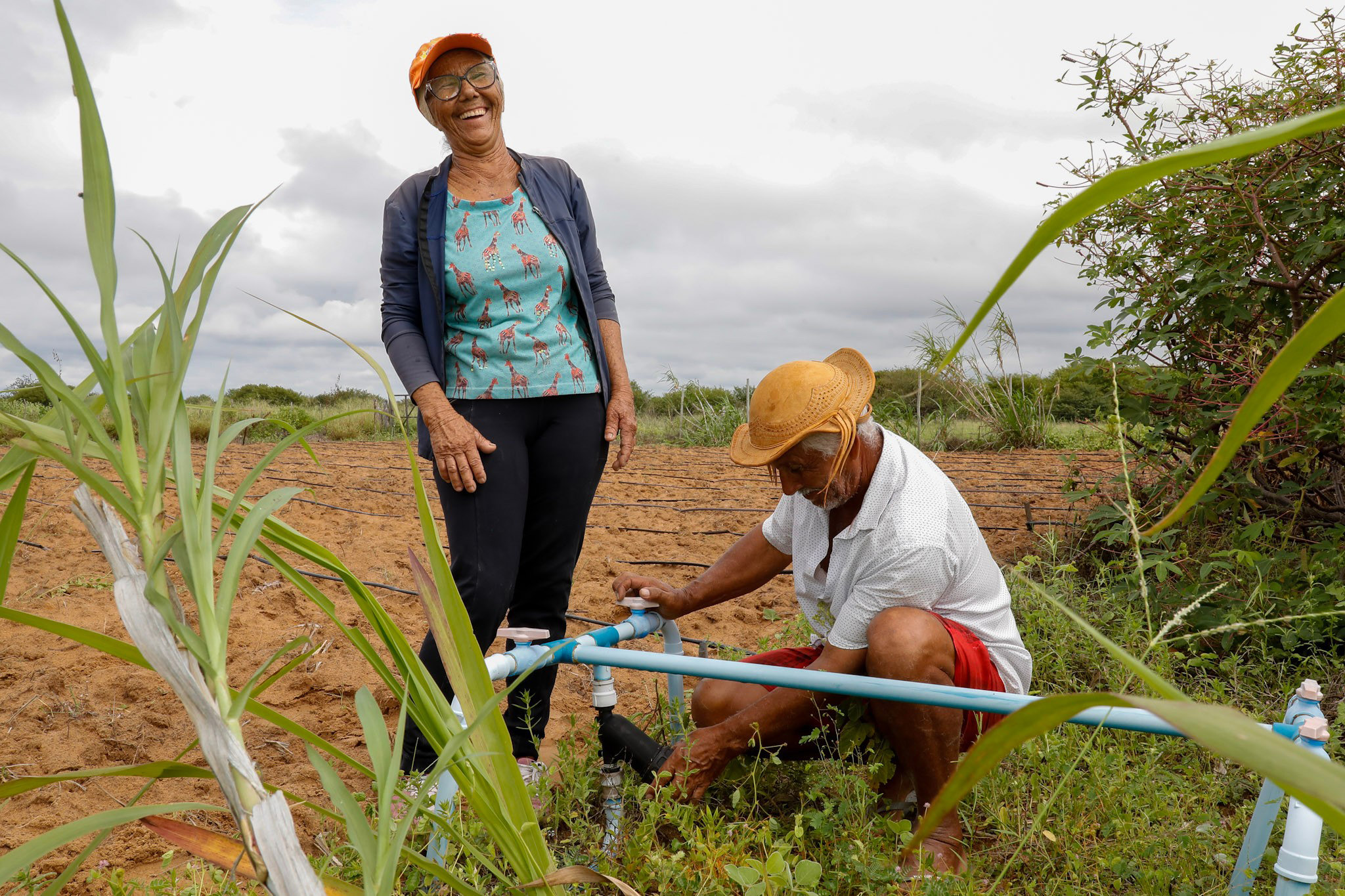 Dia Mundial da Água: ações da SDR ampliam acesso à água e fortalecem a produção no Semiárido Baiano