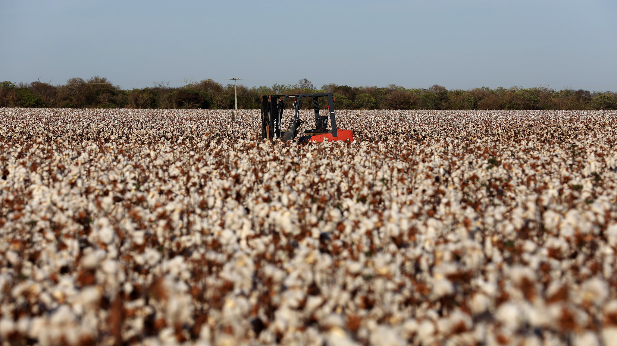 Boletim Agropecuário indica que setor impulsionou desempenho do PIB baiano no quarto trimestre de 2025
